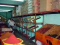 Bins & Bins of dried goods